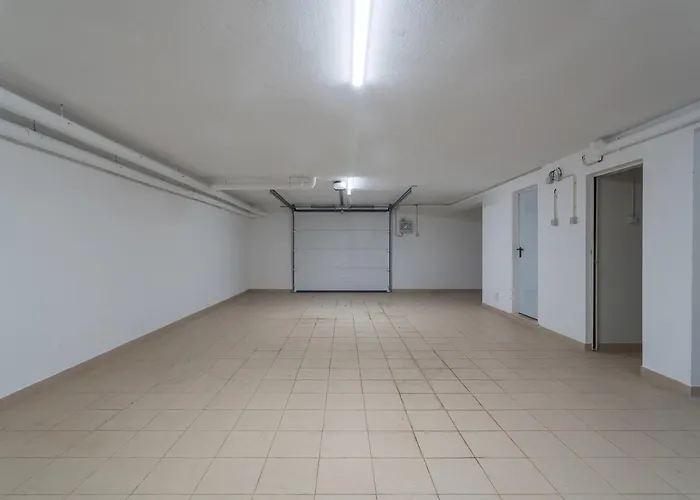 Host Wise * 포티마오